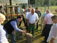 ein Bild aus dem Album